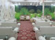 Seth Murlidhar Mansinghka Seva Sadan